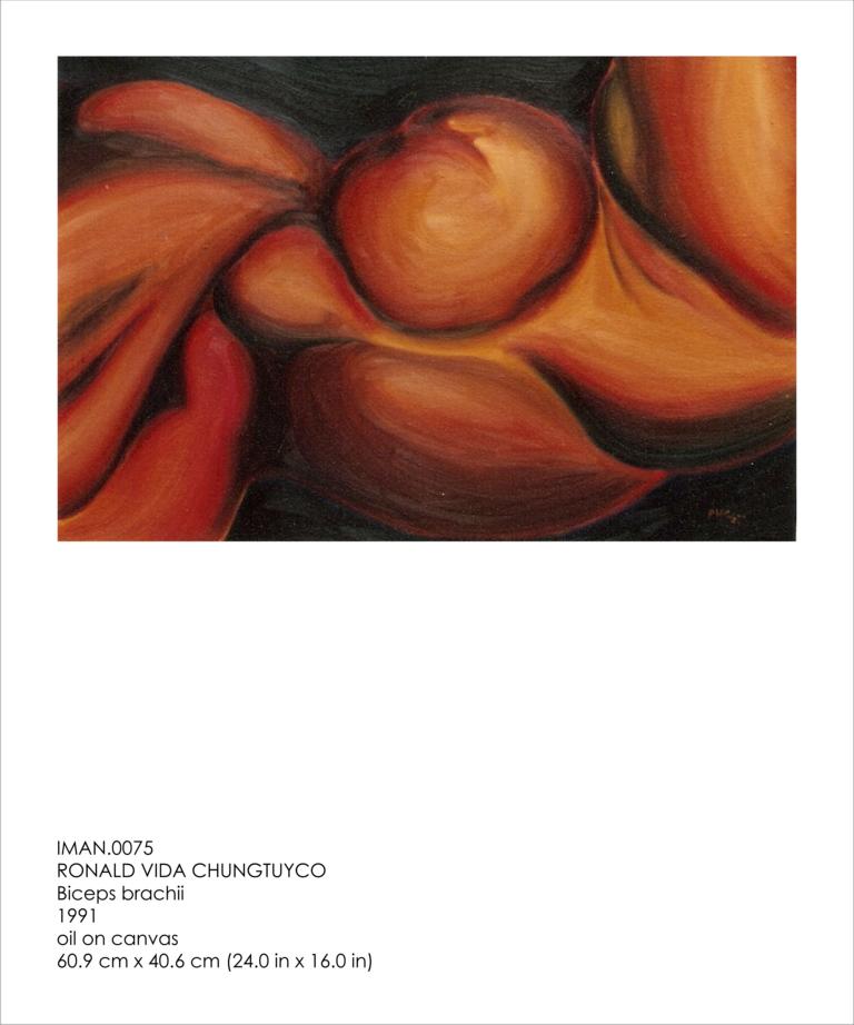 Biceps Brachii  - Ronald Vida Chungtuyco